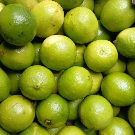 Limes